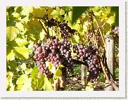 2004-10-24_16-16-25_Octobre_102,0mm_1_40_eme_DiMAGE A2 * 2080 x 1560 * (1.7MB)